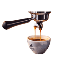 Kahve Dilim Kurabiyeler